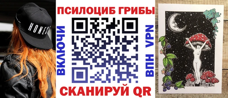 Псилоцибиновые грибы Psilocybine cubensis  Купить закладки  Плавск 